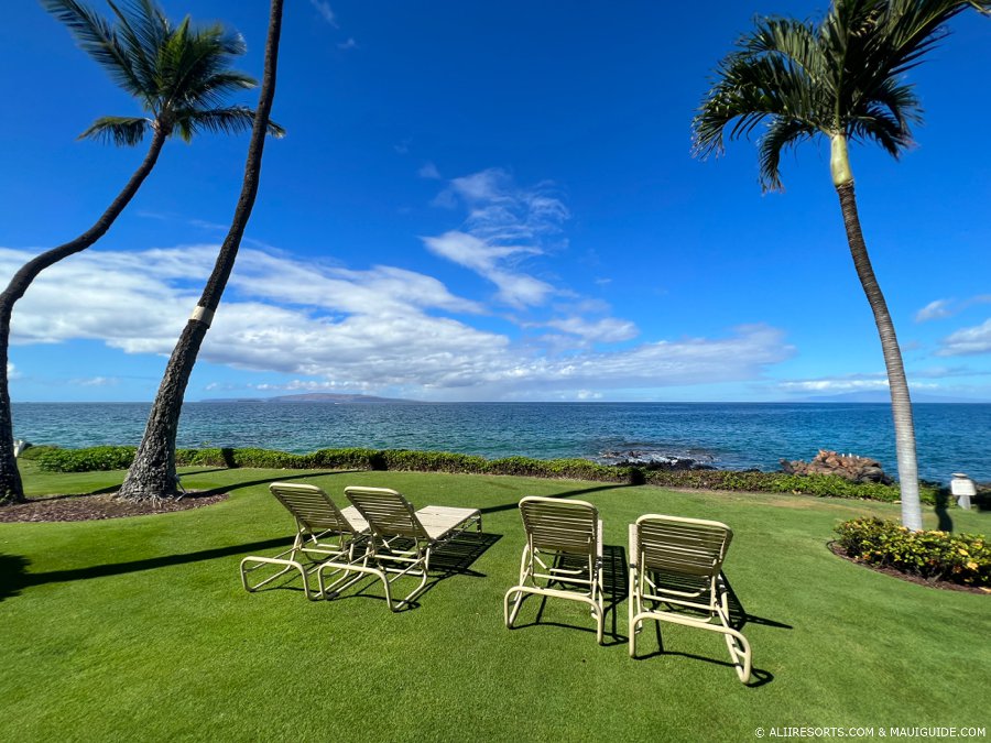Royal Mauian lawn