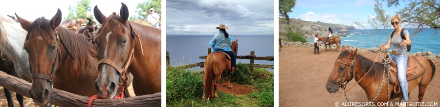 horseback tours