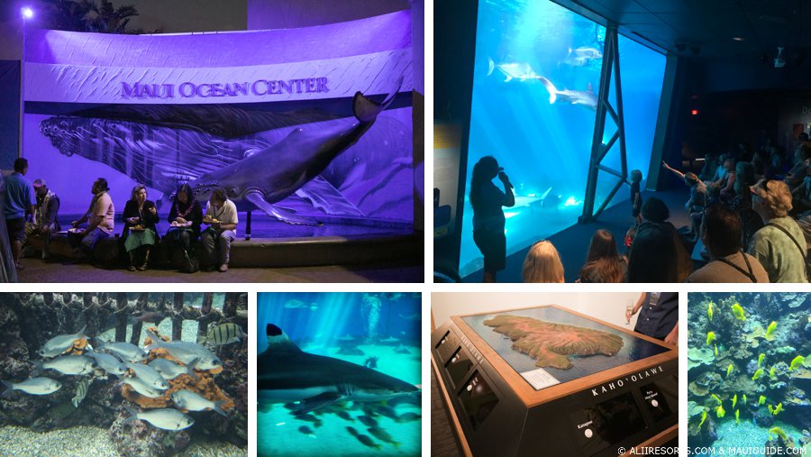 Maui Ocean Center