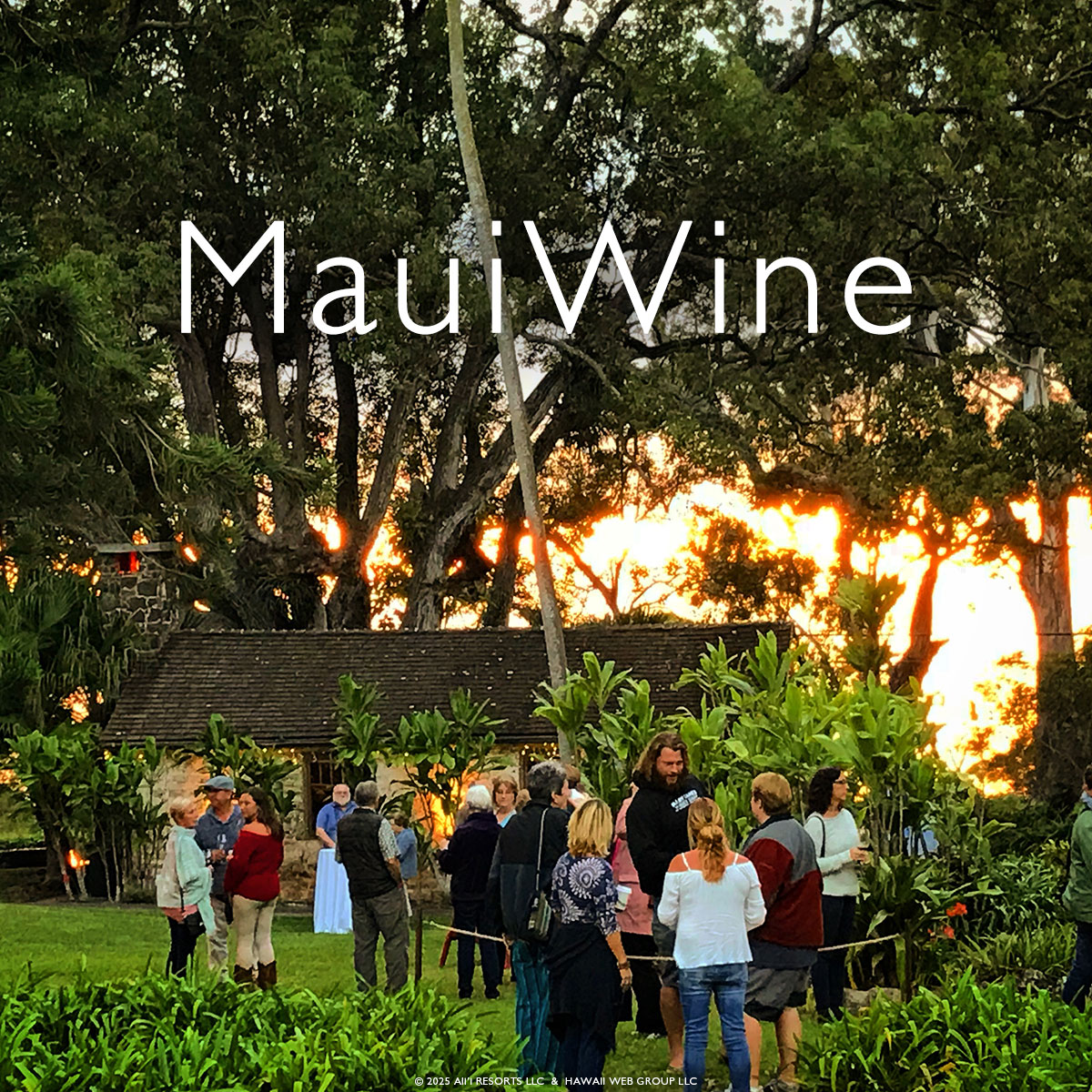 Wine Lovers, Come to Maui!