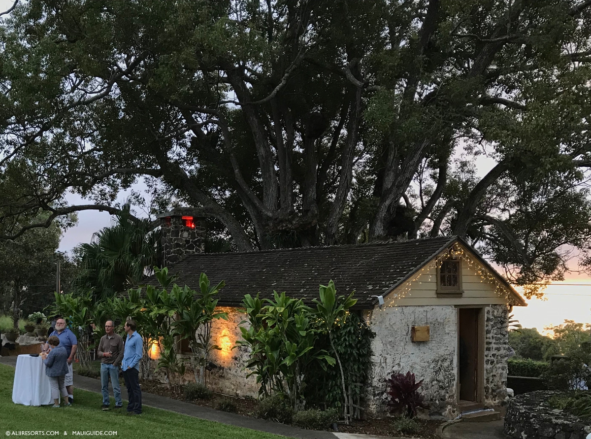 Maui wine tastings