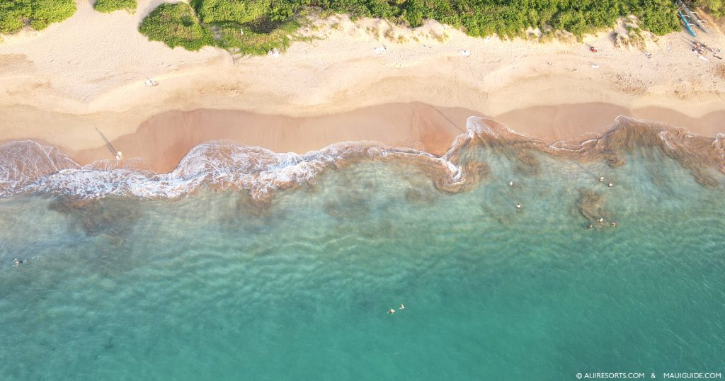 Maui beach wedding