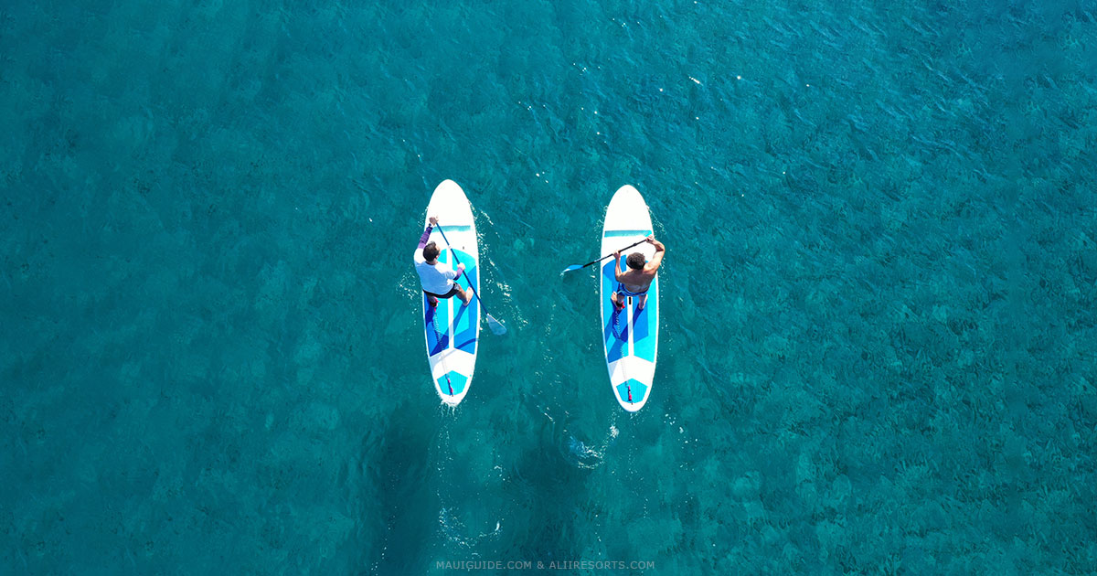 SUP Maui Hawaii