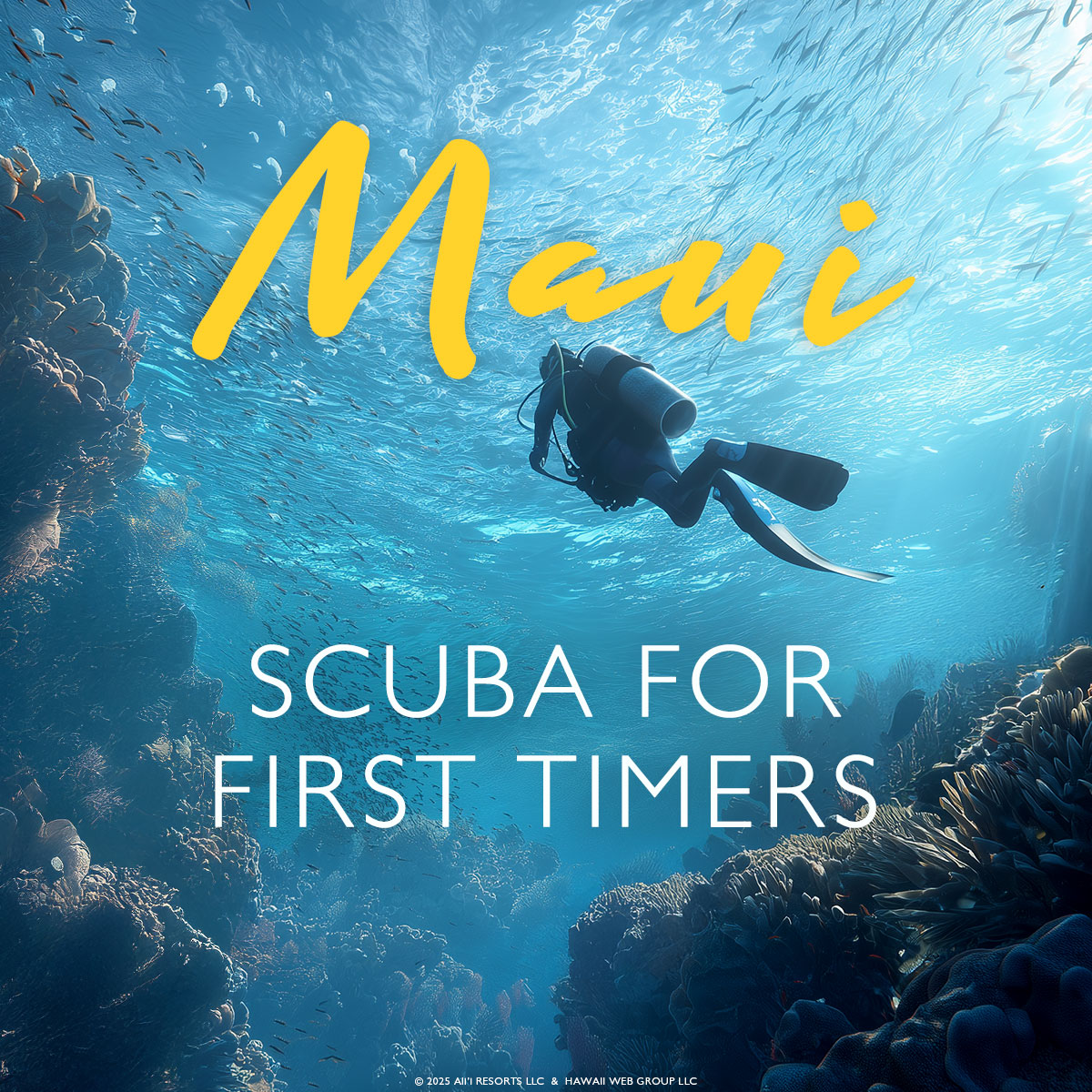 Get Out That Bucket List – It’s Time For Some Scuba Diving In Maui