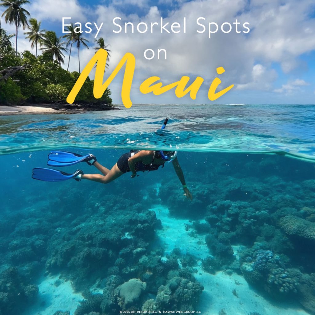 Easy snorkel spots in Maui