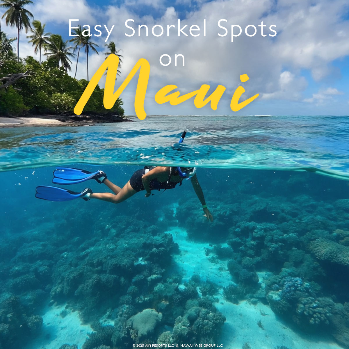 Easy Snorkeling Hot Spots on Maui