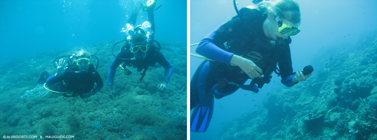 Maui kihei scuba