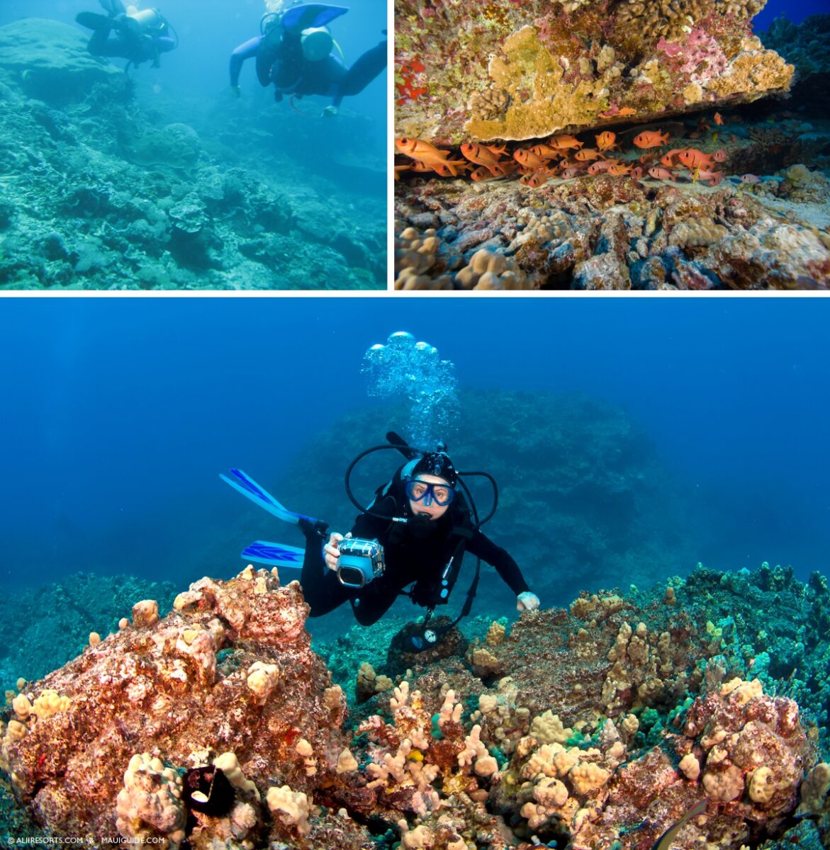 scuba diving
