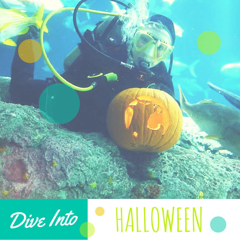 Where to Celebrate the Best Halloween in Maui