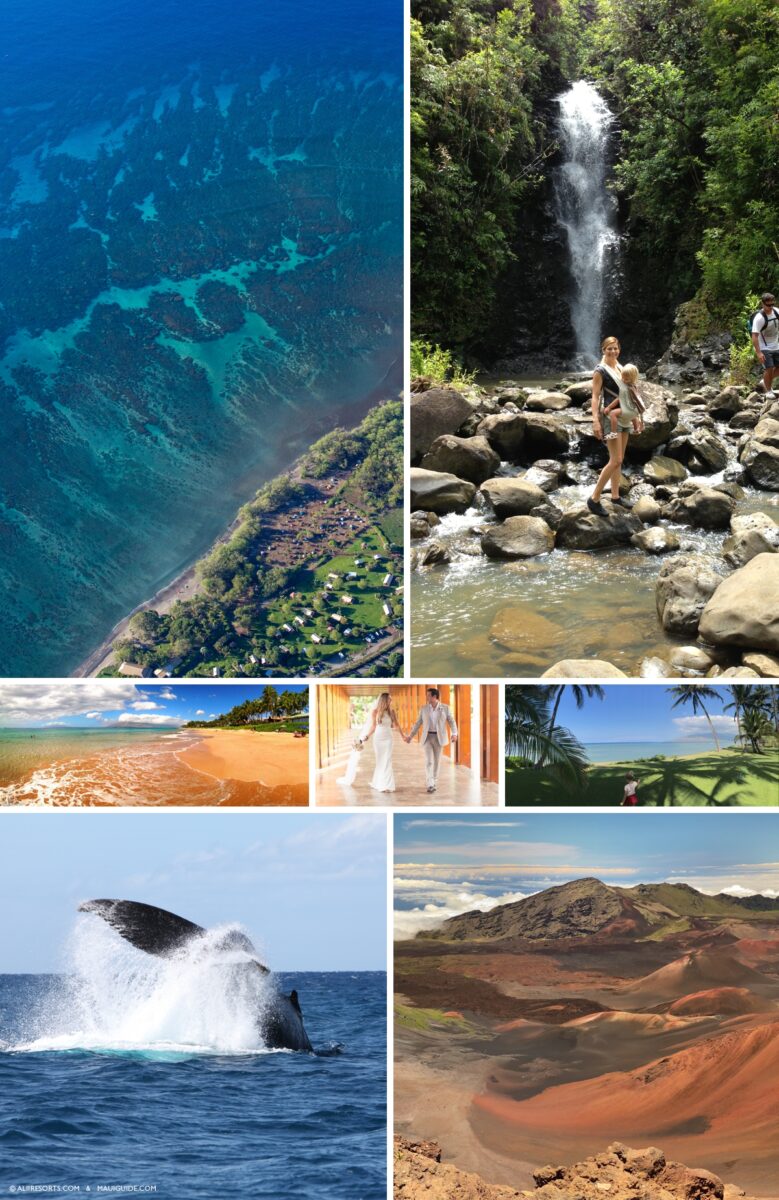 Maui love