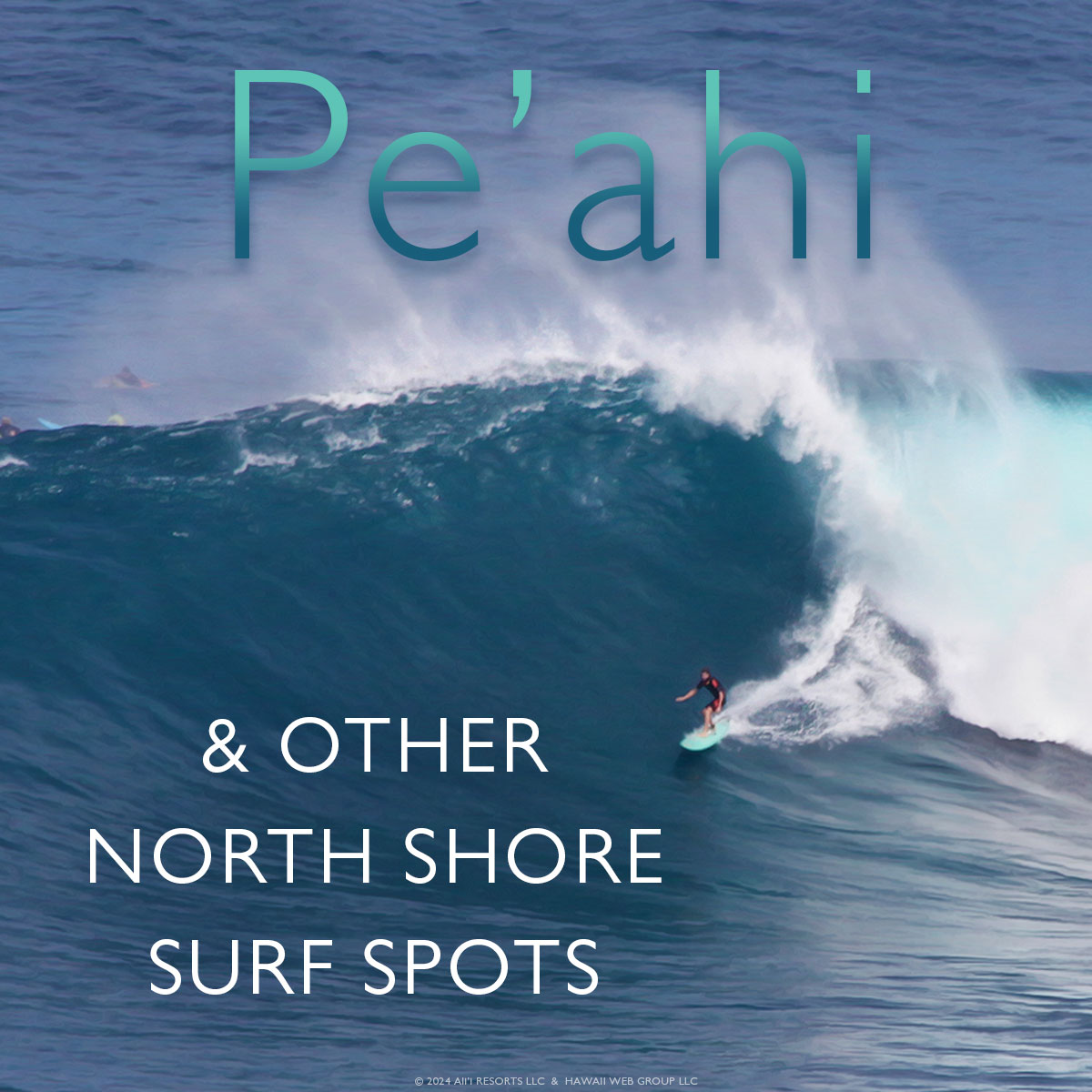 All About Pe’ahi, Jaws and North Shore Maui Surf Spots