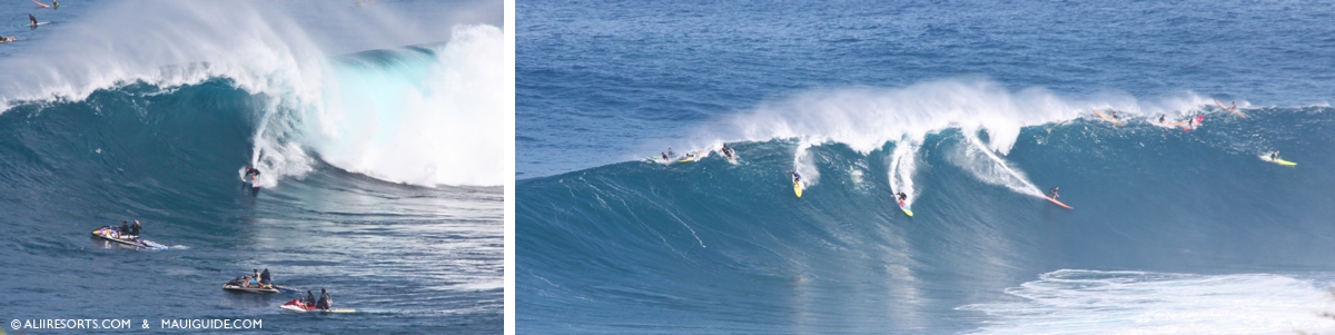 Jaws Wave