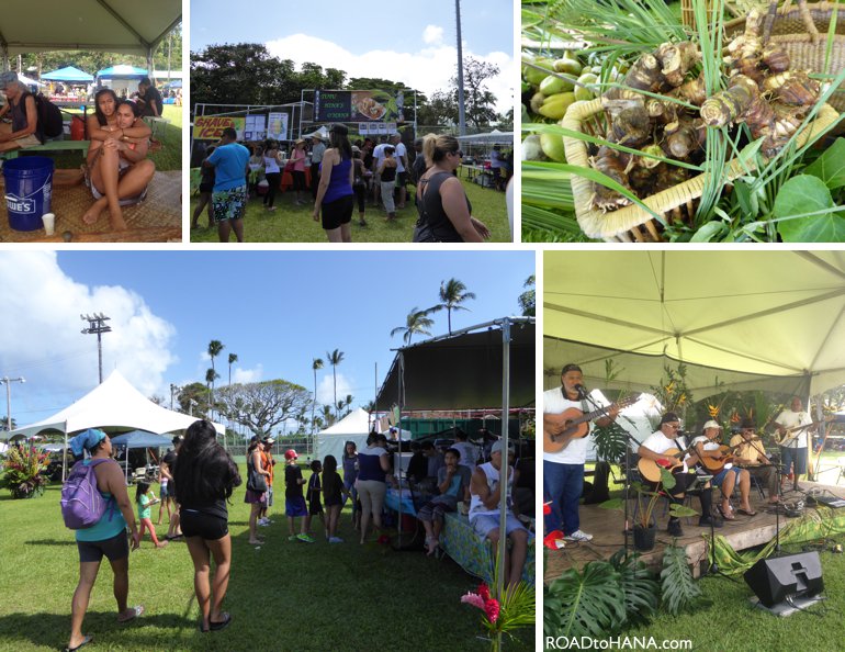 Taro Festival