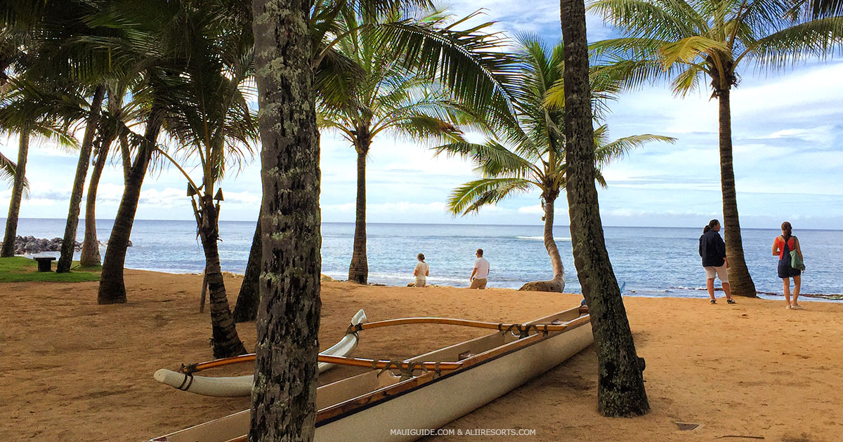 Maui lunches