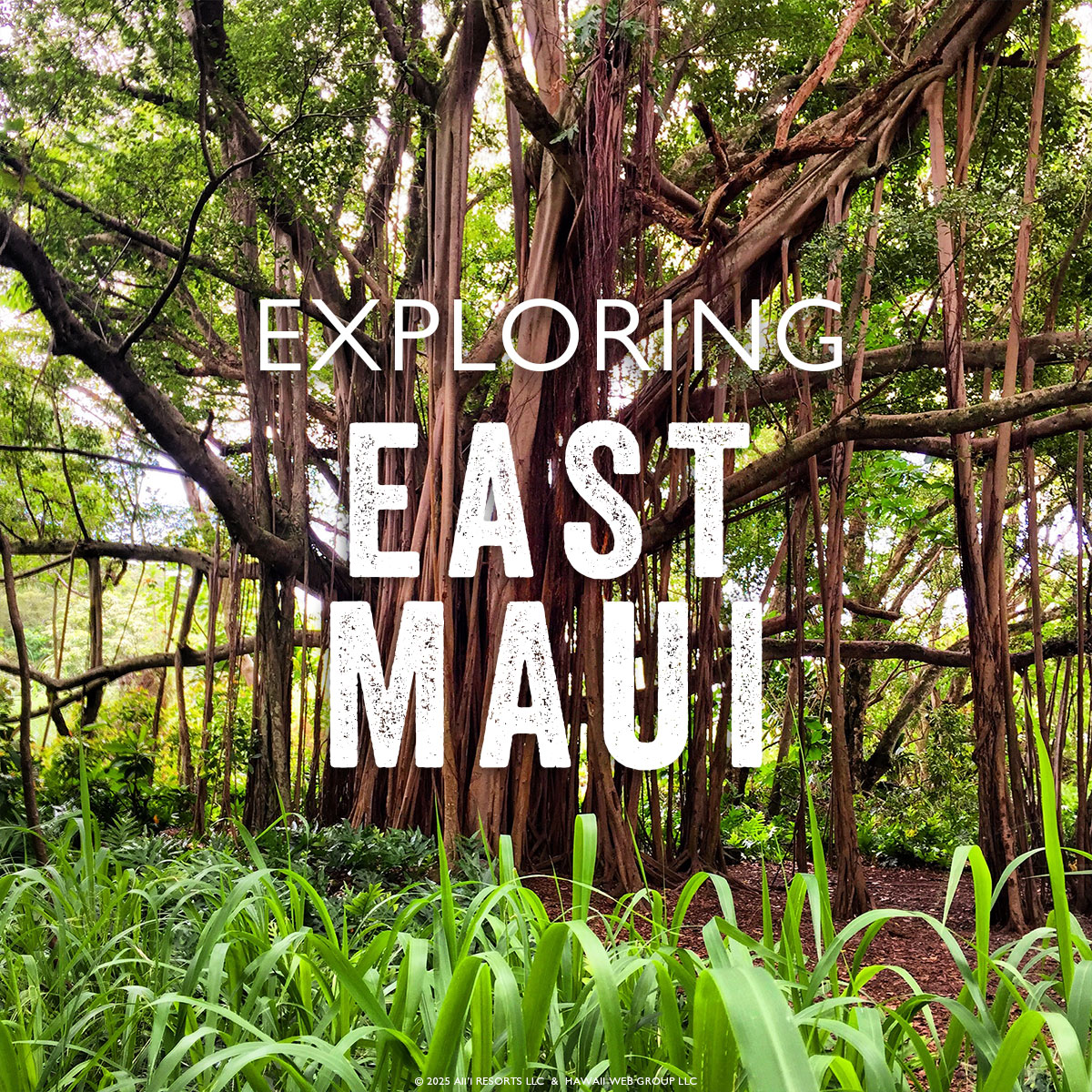 Five Natural Wonders You Must Visit in East Maui