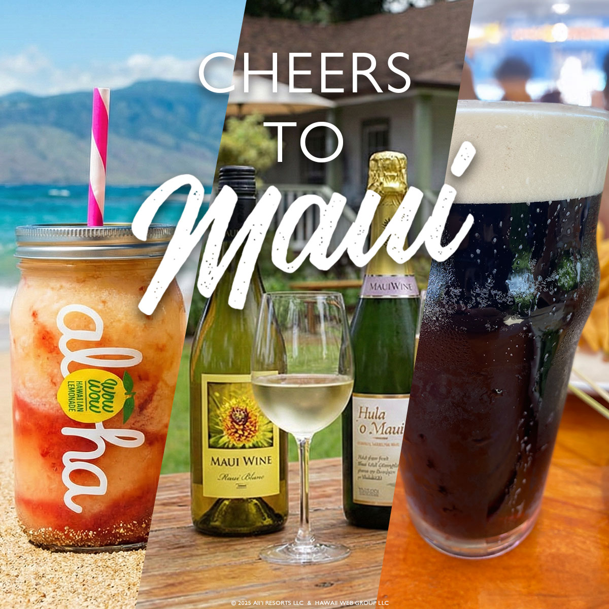 Maui Made Beer, Wine & Vodka