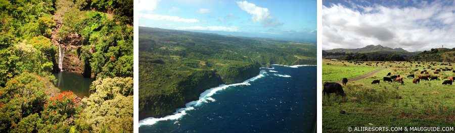 Hana Stops