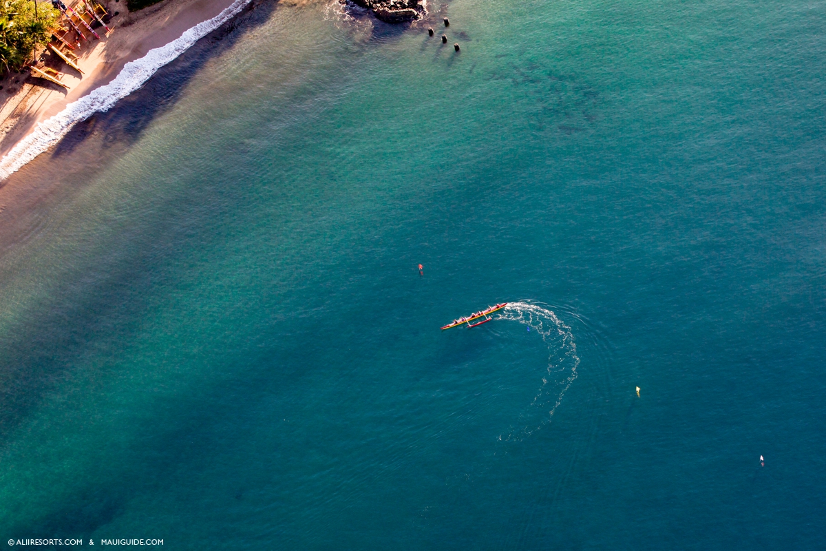 paddle for life