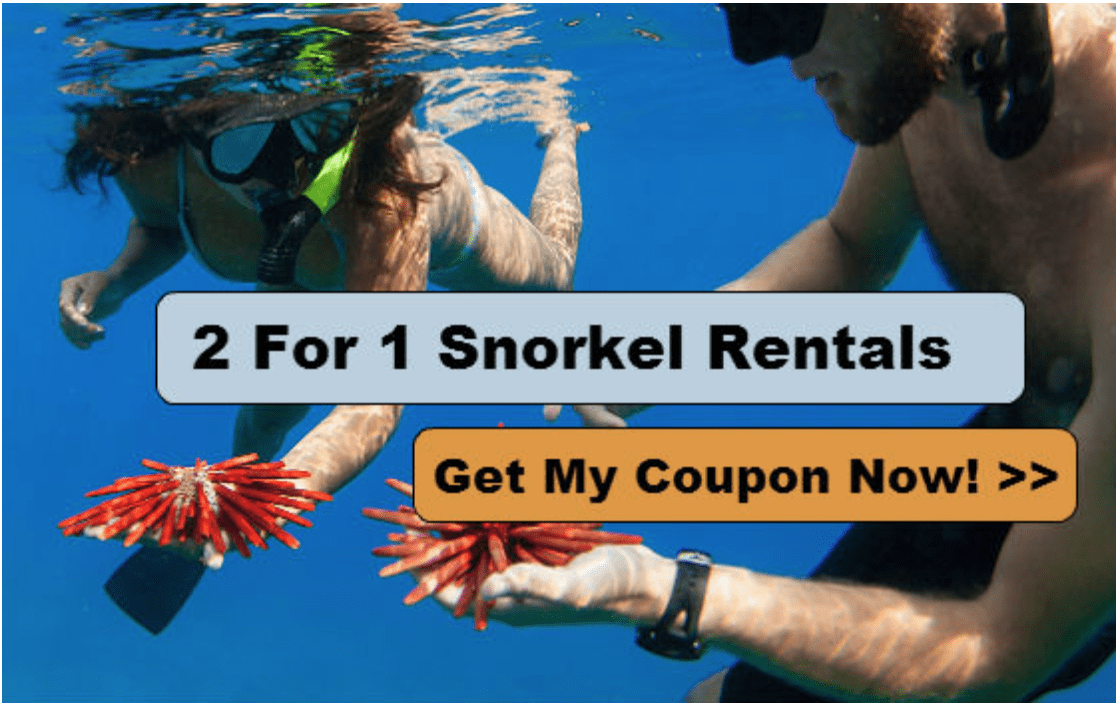 Find Activity Discounts During Your Maui Vacation