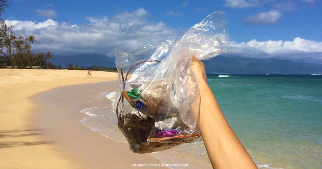 volunteer Maui