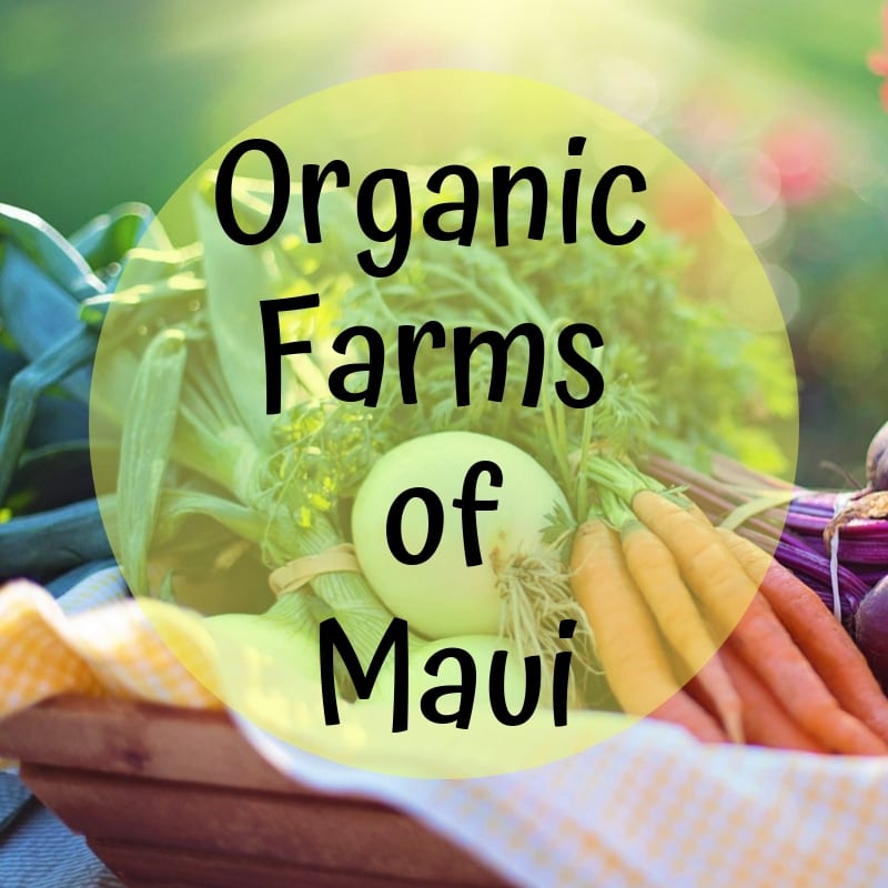 Eating Farm-to-Table on Your Trip to Maui