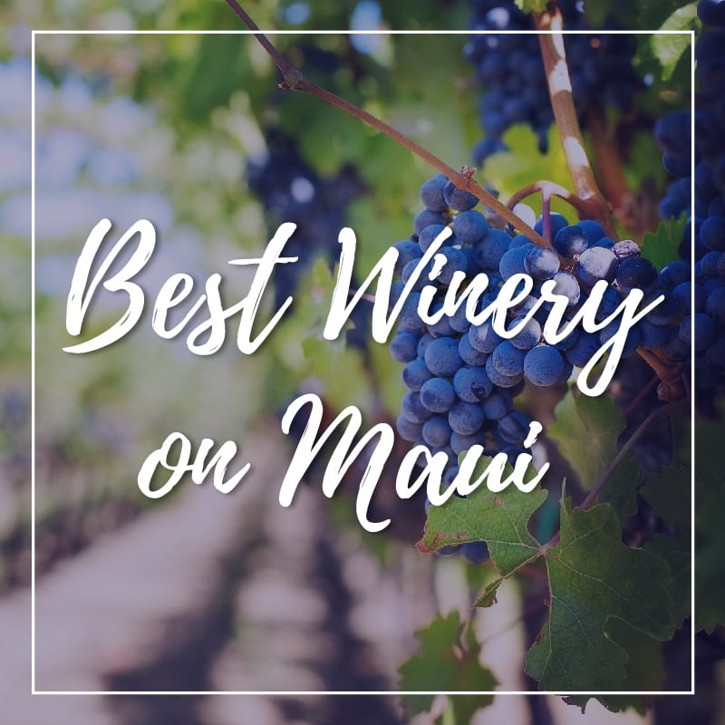 Visit the Best Winery on Maui!