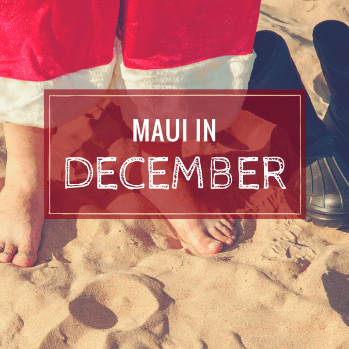 What to Expect of Maui in December