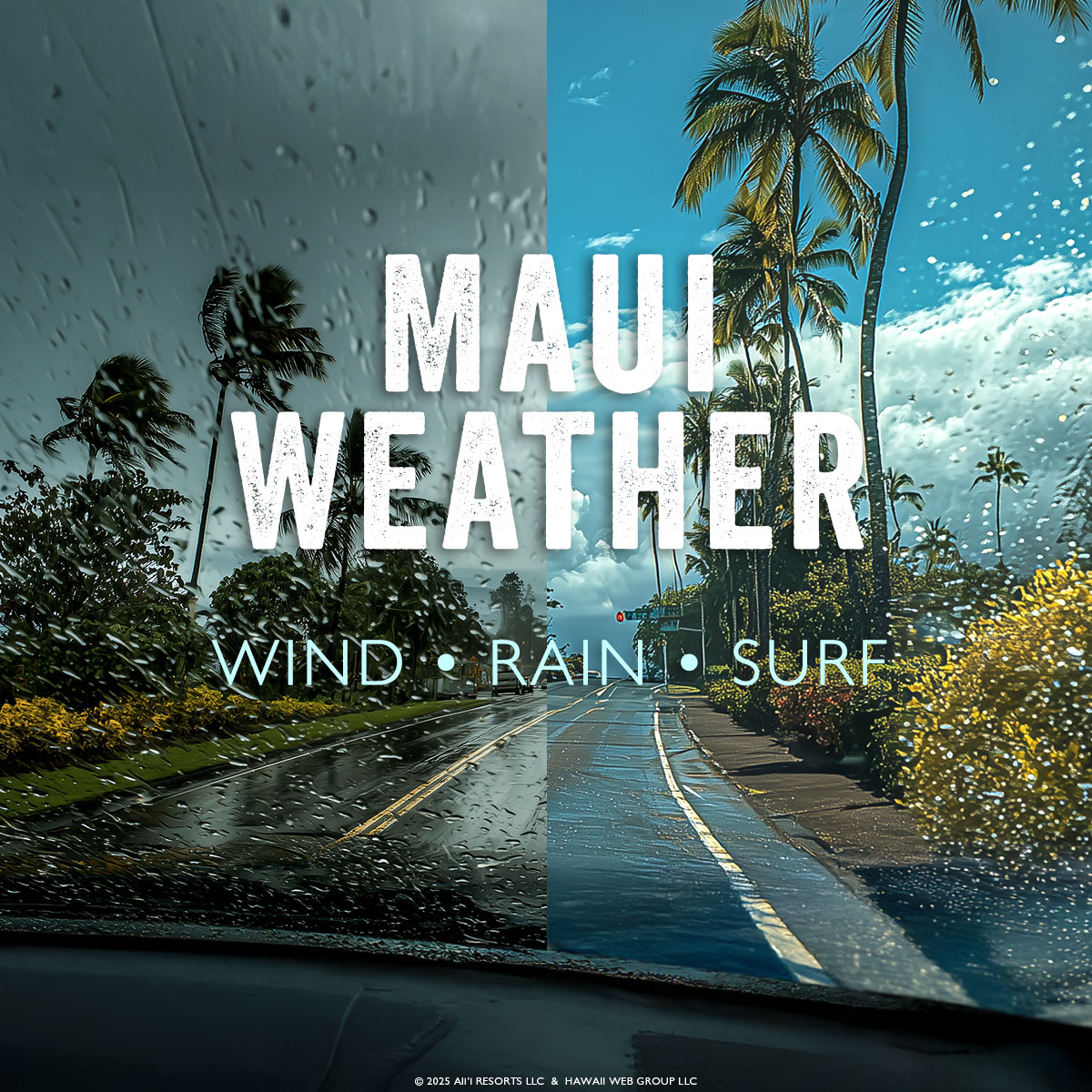 All About the Weather in Maui