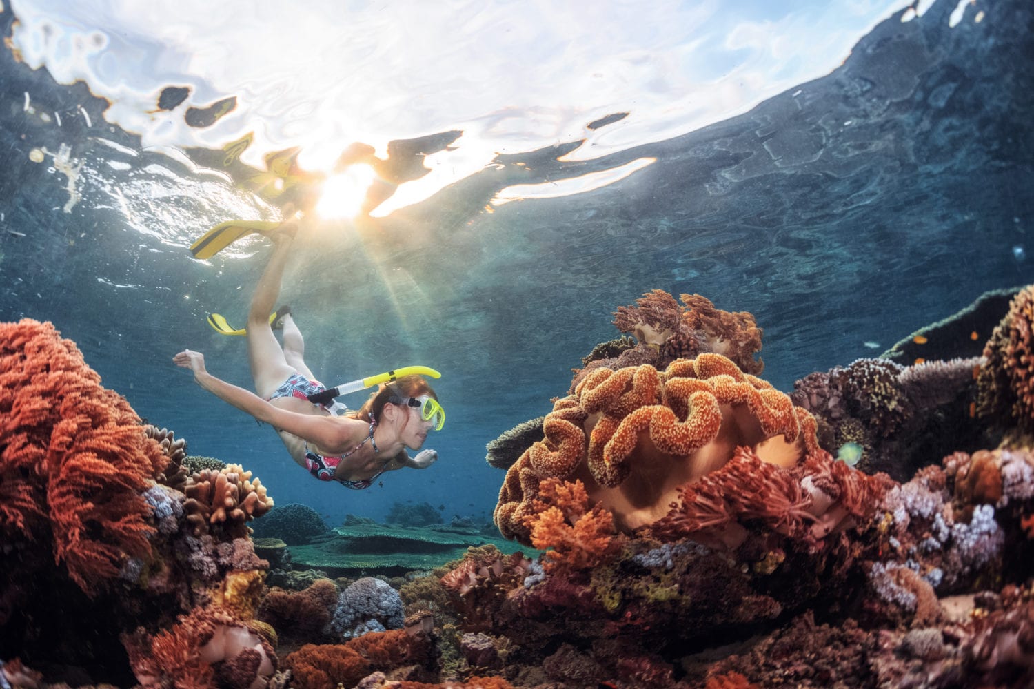 family-friendly-things-to-do-on-maui-snorkeling-molokini-crater