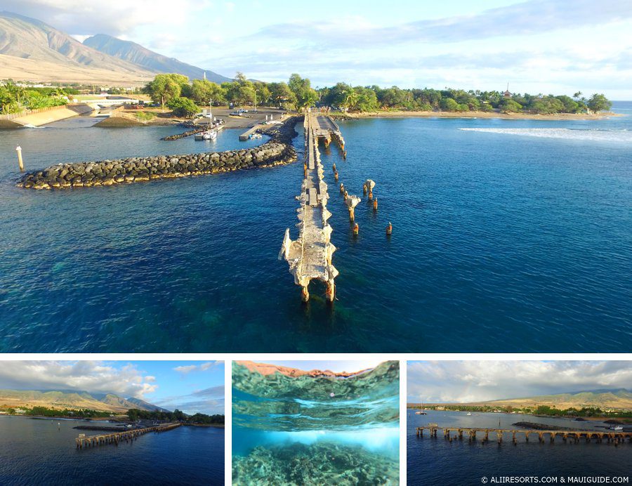 Mala Wharf snorkeling