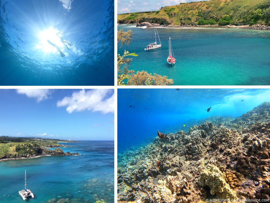Honolua snorkeling