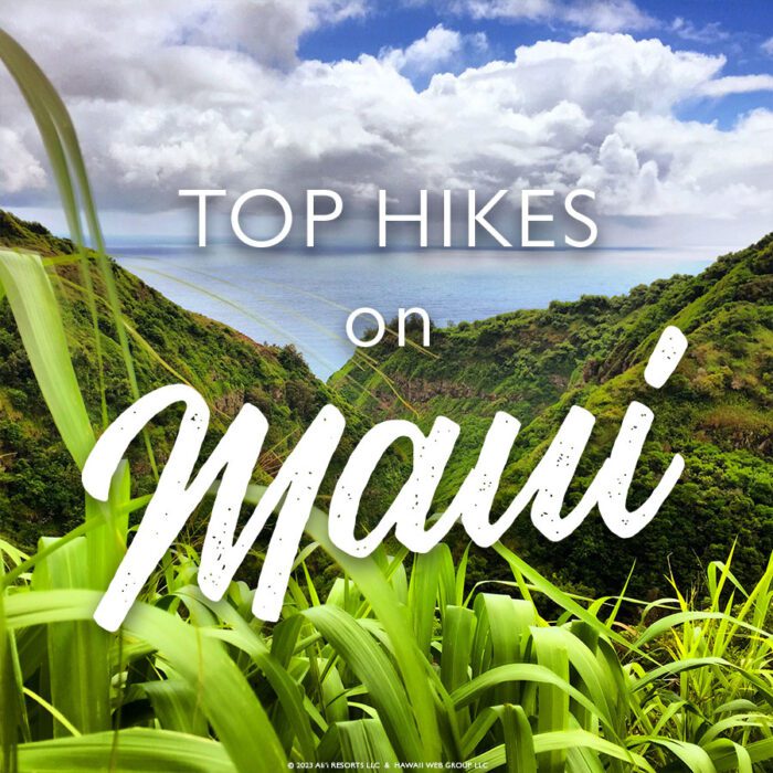 Top 10 Places To Hike In Maui In 2023