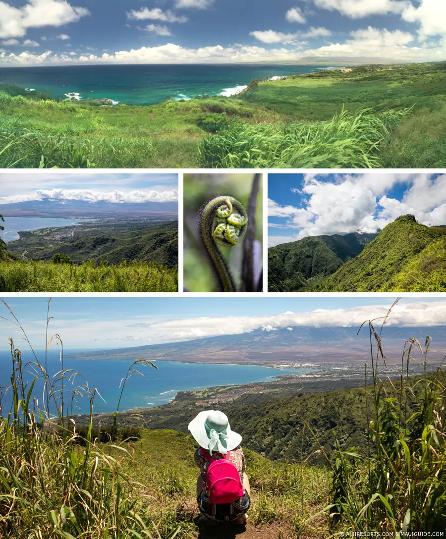 Waihee Ridge