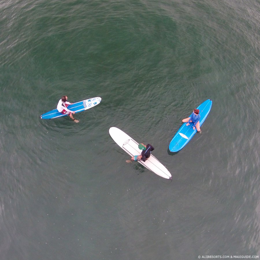 Maui surfboard rentals