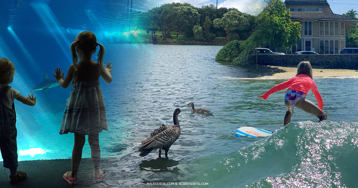 5 Activities For Kids in Maui