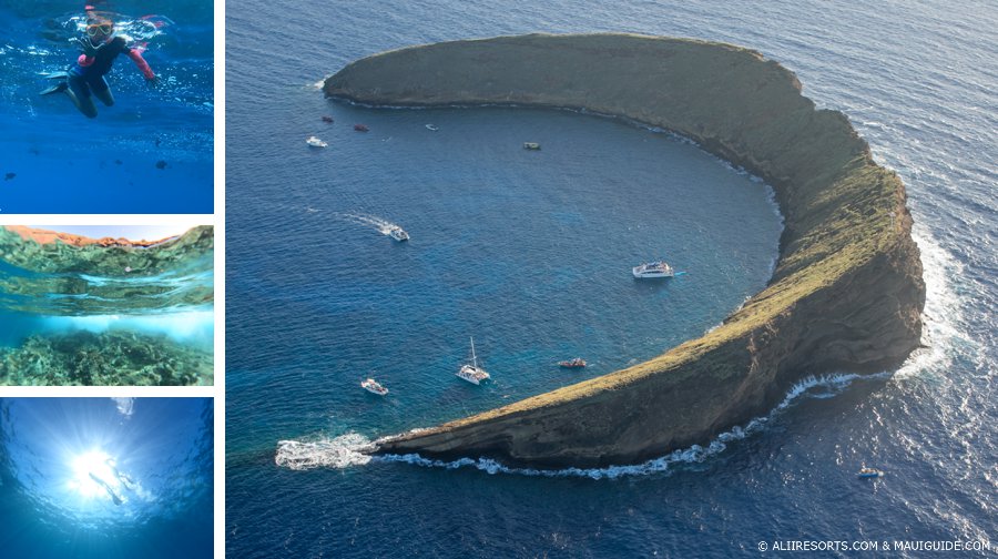Molokini snorkeling with kids