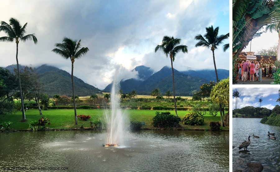 Maui Tropical Plantation
