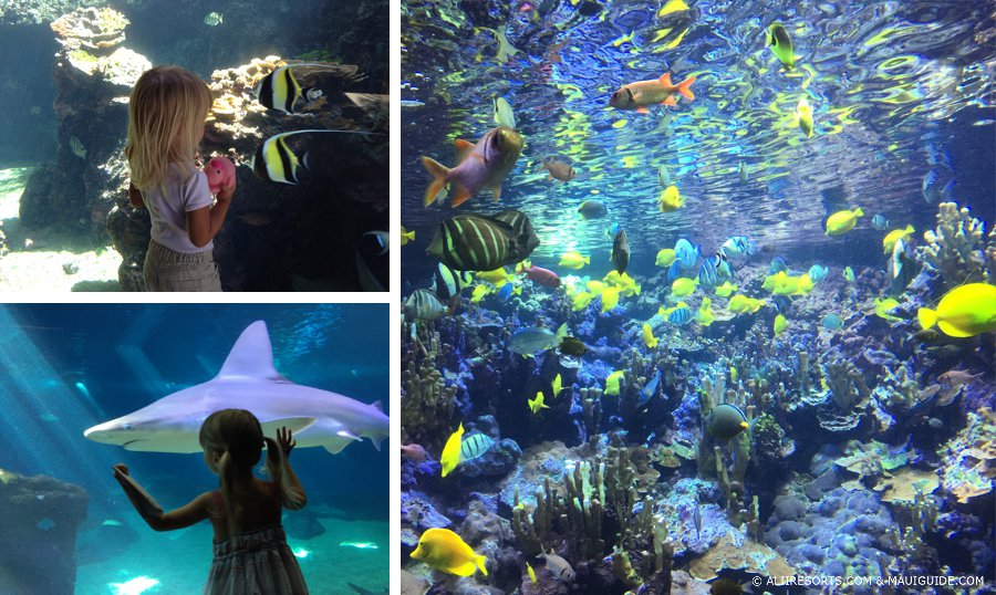 Maui Ocean Center