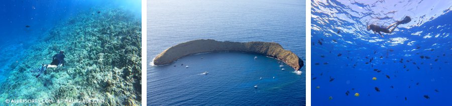 Molokini Snorkeling