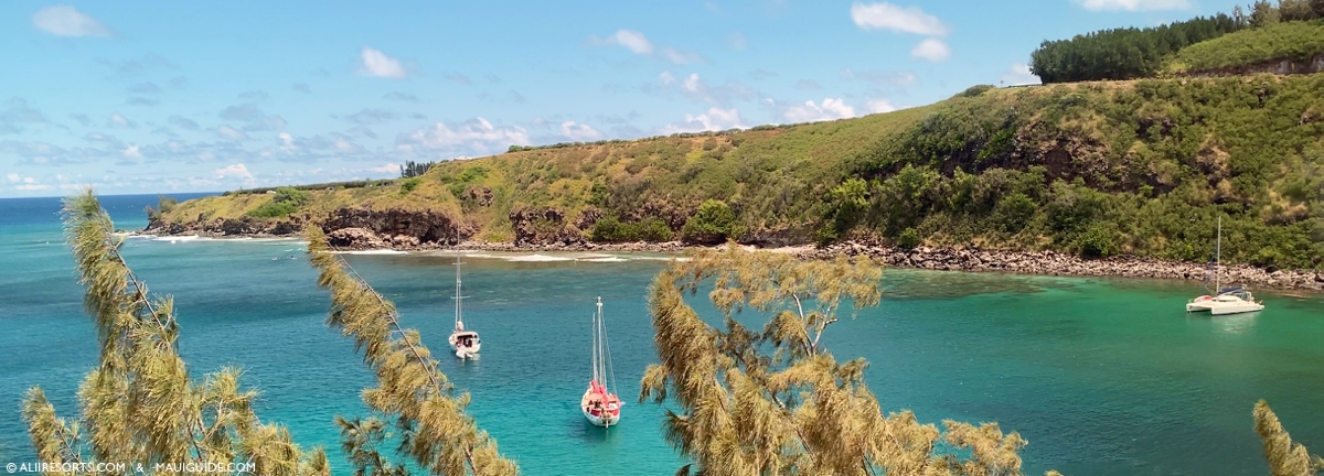 Honolua snorkel