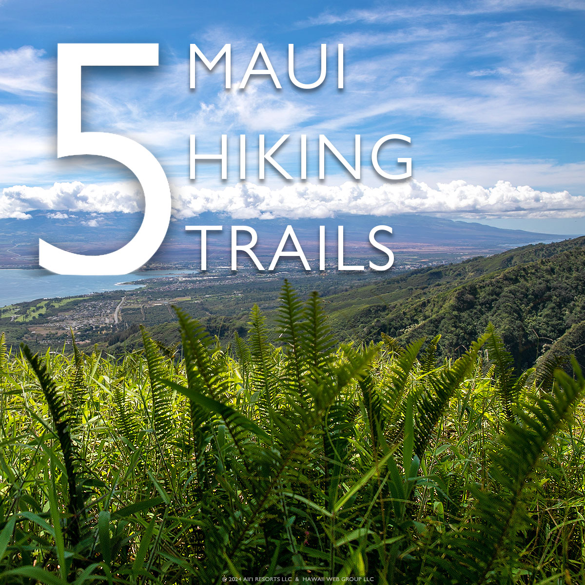 Top Hikes In Maui That Will Take Your Breath Away