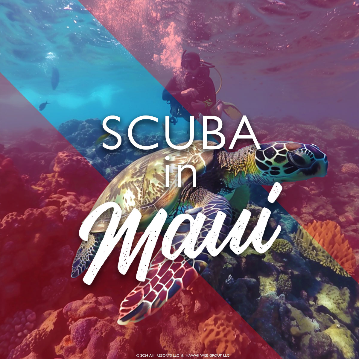 Scuba Diving in Maui: A Comprehensive Guide
