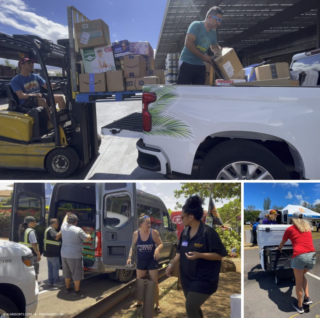 maui recovery