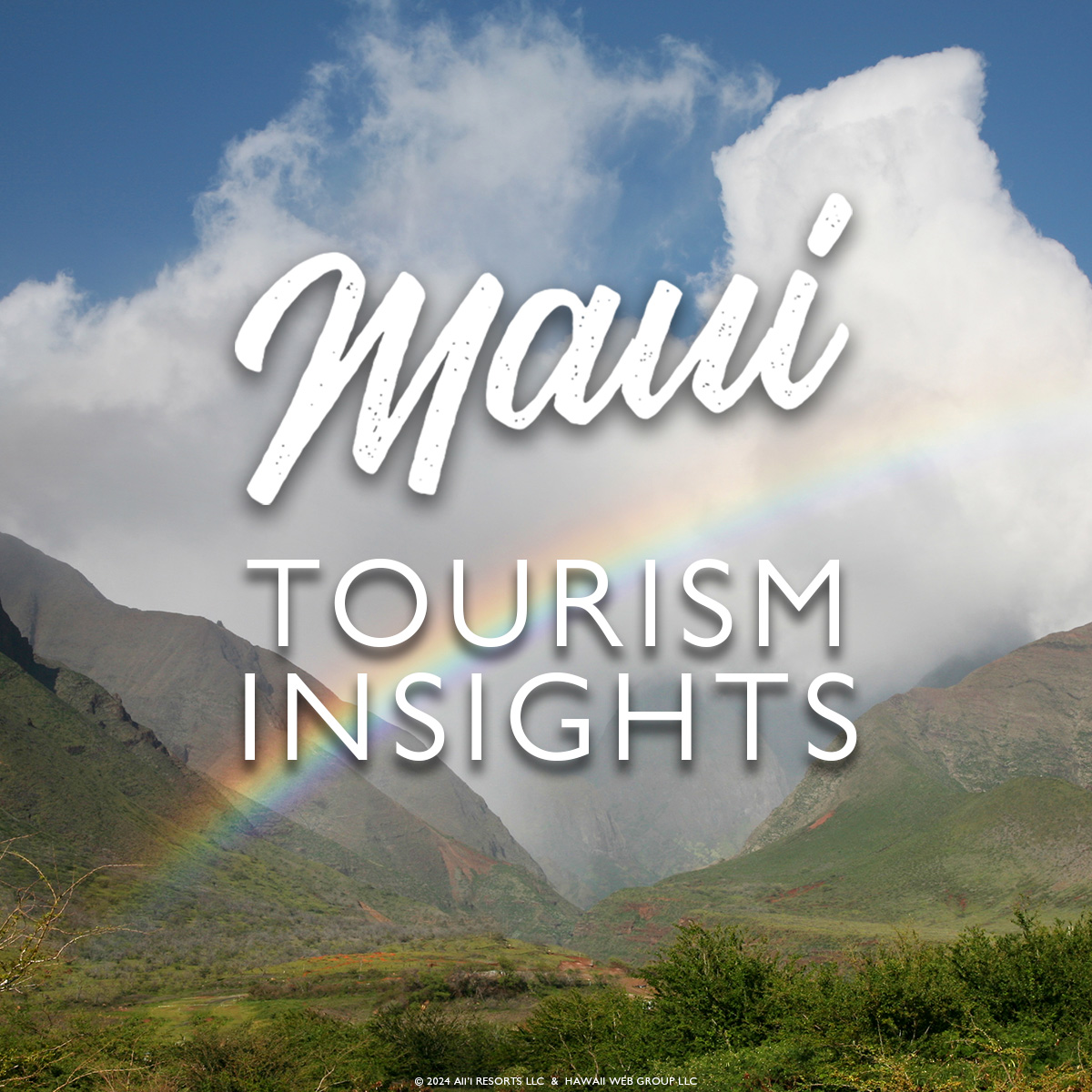 Maui Tourism Insights