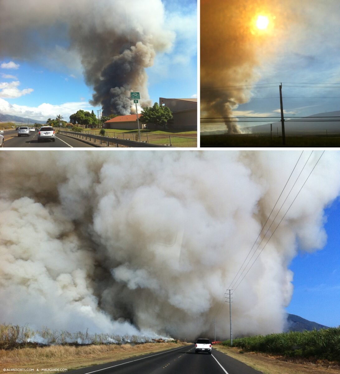 sugarcane burning