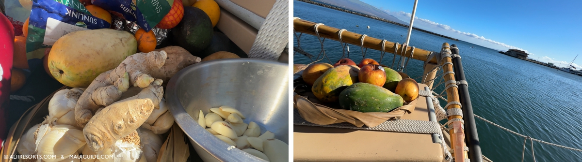Maui provisions
