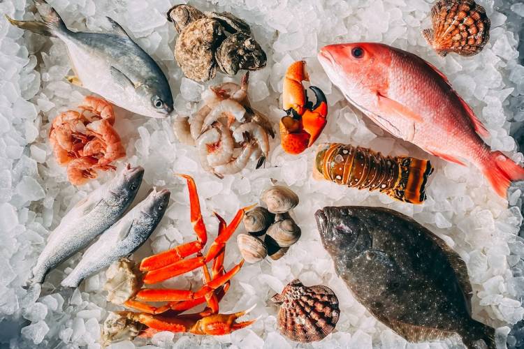Best Seafood Restaurants Port Aransas Tx