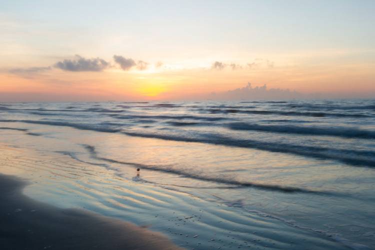 Mustang Island State Park