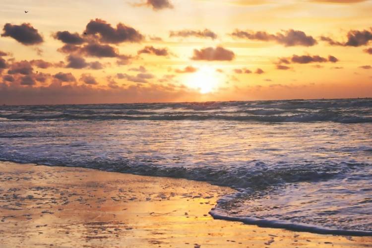 Arriving Port Aransas Step Step Guide
