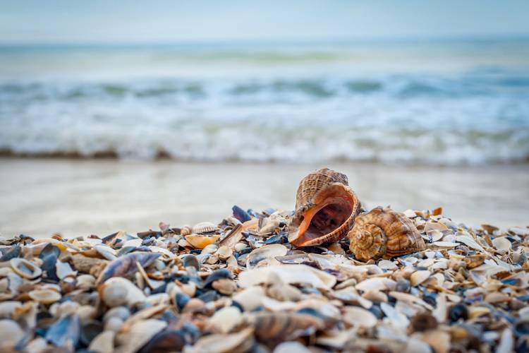 San Jose Island